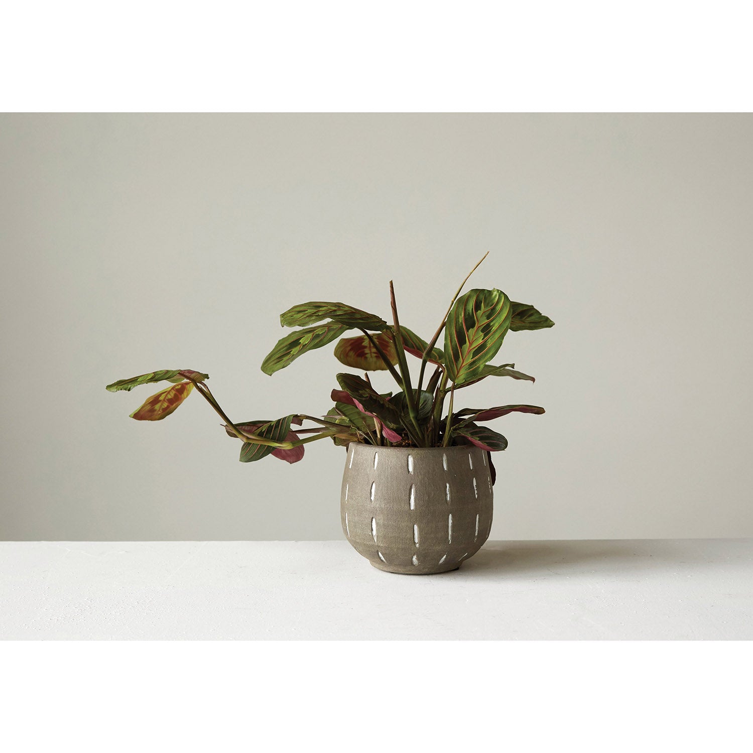 A grayish-brown terracotta planter with hand painted white lines.